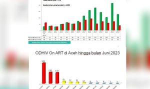 data-hiv-aids-aceh-768x546